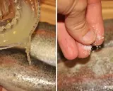 Zitronensaft wird über eine **Forelle** geträufelt, während Salz auf eine andere gestreut wird.