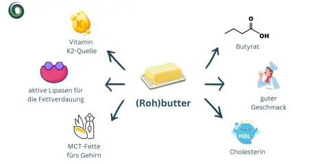 (Roh)butter: Vitamin K2-Quelle, aktive Lipasen, MCT-Fette, Butyrat, guter Geschmack und Cholesterin.