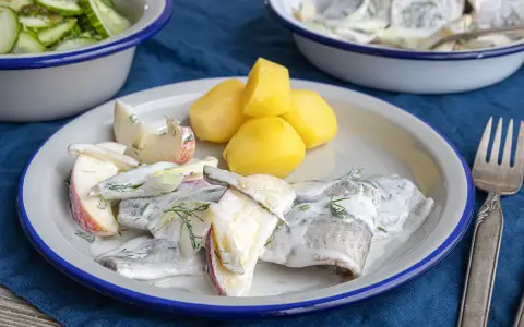 Eingelegter Hering mit Apfelspalten, Kartoffeln und Dill auf einem Teller. Daneben ein Schälchen Gurkensalat.