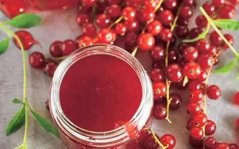 Ein Glas mit rotem Johannisbeergelee, umgeben von frischen Johannisbeeren. Perfekt zum Johannisbeeren einkochen.
