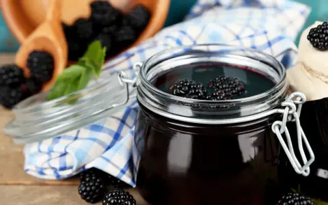 Ein Glas mit dunklem Brombeergelee, garniert mit frischen Brombeeren. Daneben ein Holzschälchen mit weiteren Brombeeren und ein kariertes Tuch. Verschiedene Brombeergelee Varianten zum Genießen.