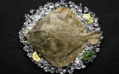 Ein ganzer Butt Fisch liegt auf Eis, garniert mit Zitronen- und Limettenspalten.