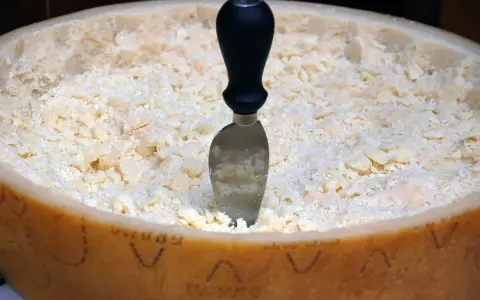 Ein Parmesanrad mit einem Messer, bereit zum Portionieren. Der Unterschied zwischen Parmesan und Pecorino ist oft im Geschmack und der Textur zu finden.